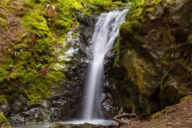 Vancouver güzel şelale 