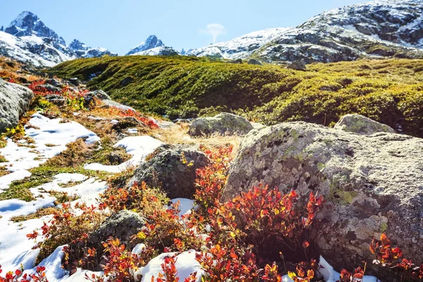 Herfst seizoen in Kackar bergen — Stockfoto