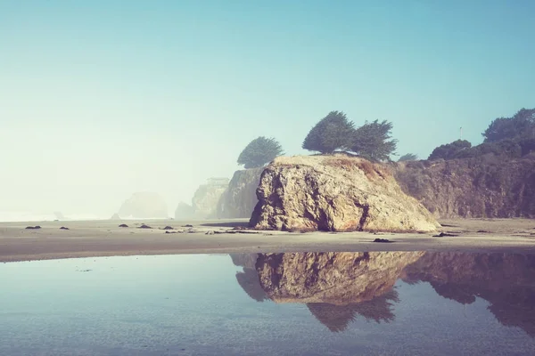 Pacific Coast Doğal Görünümü Doğa Manzara — Stok fotoğraf