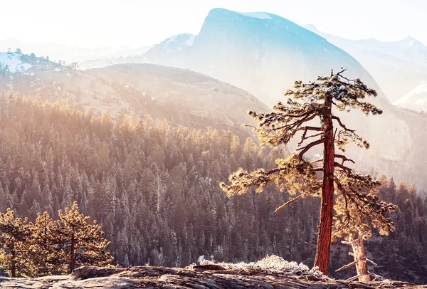 Krajobrazy przyrody Yosemite — Zdjęcie stockowe