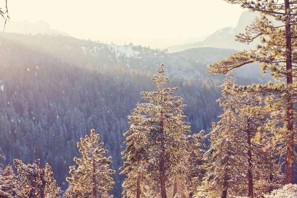 Yosemite doğa manzaraları — Stok fotoğraf