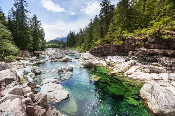 Creek Lodowiec Park Malownicze Widoki Usa — Zdjęcie stockowe