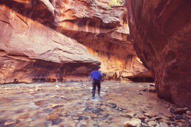 Zion national park için yapılan zammı