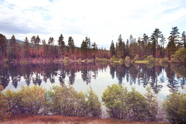 Sonbahar Doğal Görünümü Güzel Göl — Stok fotoğraf