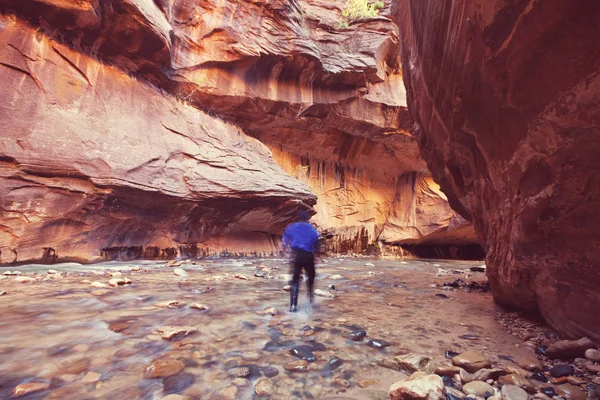 Wanderung Zion Nationalpark — Stockfoto