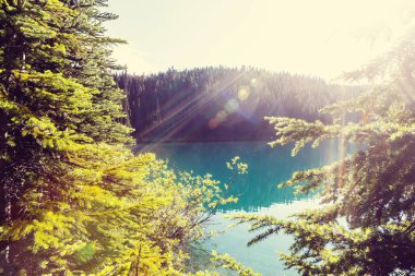 Whistler, BC, Kanada yakınlarındaki Garibaldi Gölü 'nün turkuaz sularına yürüyün. British Columbia 'da çok popüler bir yürüyüş merkezi..