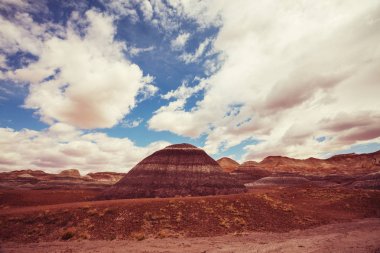 Taş Ormanı Ulusal Parkı, arizona.