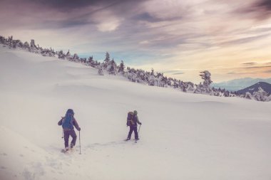 Kış dağlarında yürüyüşçüler 