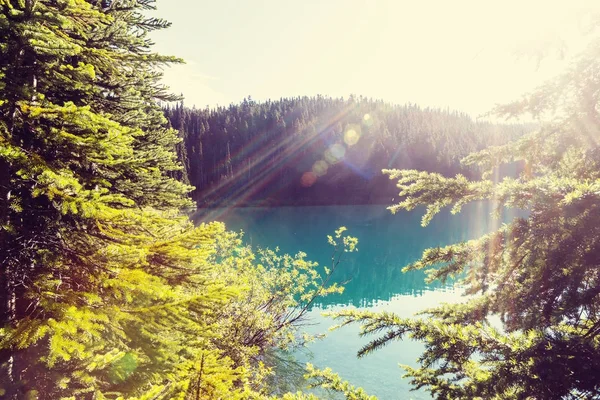 Wanderung Zum Türkisfarbenen Wasser Des Malerischen Garibaldi Lake Der Nähe — Stockfoto
