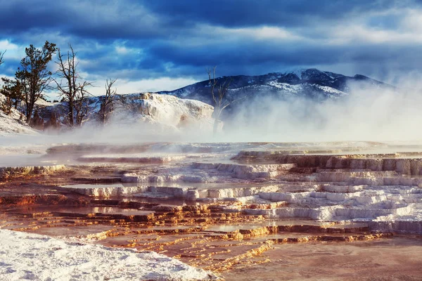 Mammoth Hot Springs Yellowstone Stati Uniti — Foto Stock
