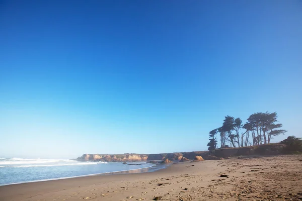 Pacific Coast Γραφική Θέα Τοπίο Της Φύσης — Φωτογραφία Αρχείου