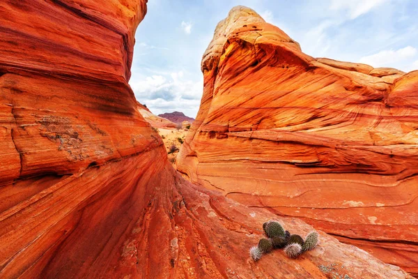 Coyote Buttes Vermillion Cliffs Wilderness Area Utah Arizona — Stock Photo, Image