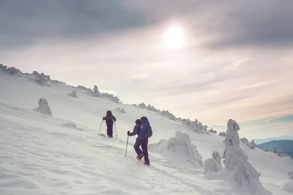 Hikers Winter Mountains — Stock Photo, Image