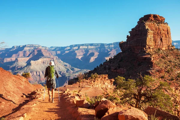 Wanderung Grand Canyon Nationalpark — Stockfoto
