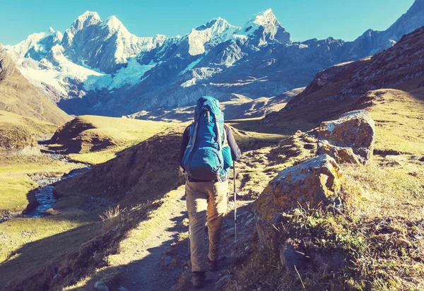 Vandringsscen Cordillera Berg Peru — Stockfoto