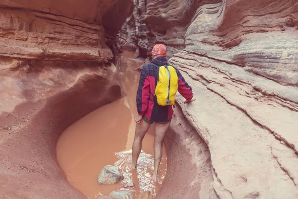 Slot Canyon Grand Staircase Escalante National Park Utah Usa Ovanliga — Stockfoto