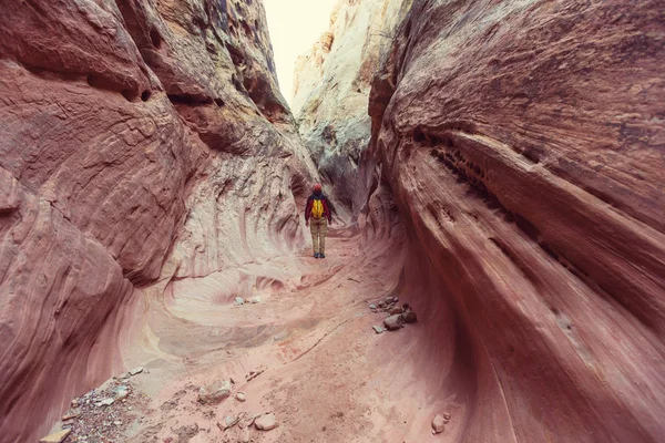 Slot Canyon Nel Grand Staircase Escalante National Park Utah Usa — Foto Stock