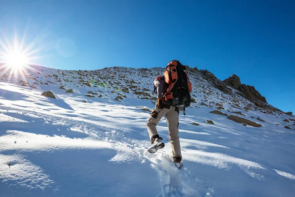 Hiker Winter Mountains — Stock Photo, Image