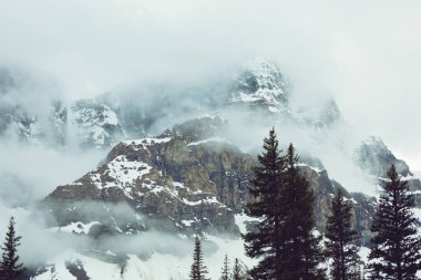 Kışın karla kaplı dağlar