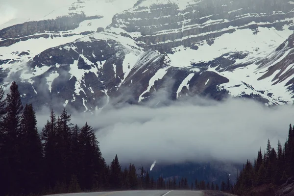 Malerischer Blick Auf Die Berge Den Kanadischen Rockies — Stockfoto