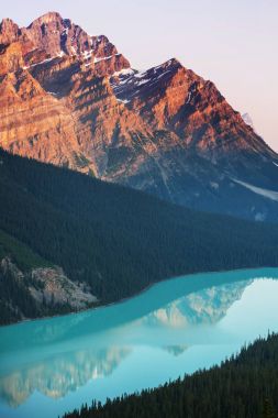 Peyto Lake in Banff National Park, Canada clipart