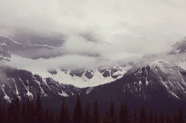 Picturesque Mountain View Canadian Rockies — Stock Photo, Image