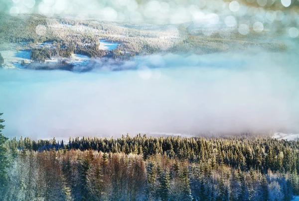 Norveç Kırsal Alanda Karlı Kış — Stok fotoğraf