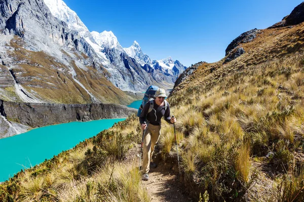 Человек Походы Трех Лагунах Кордильера Huayhuash Перу — стоковое фото