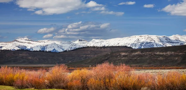 Grand Teton National Park Wyoming États Unis — Photo