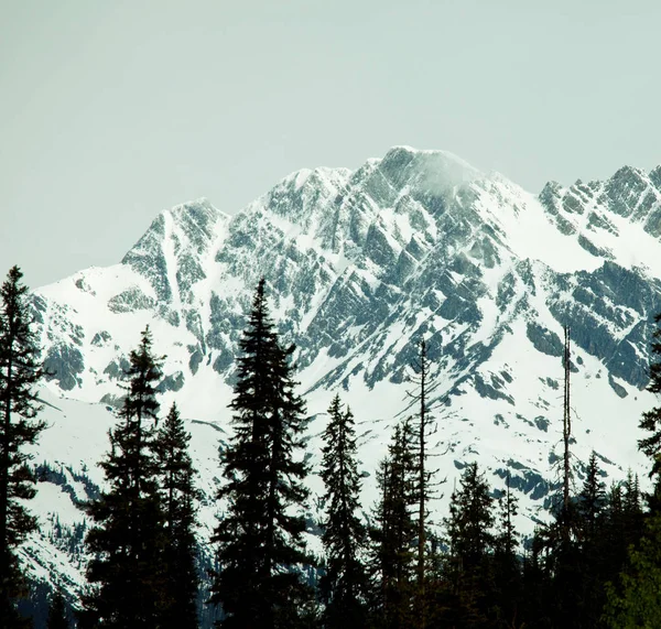 Malerischer Blick Auf Die Berge Den Kanadischen Rockies — Stockfoto