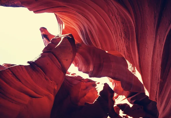 Antilop Kanyonu Sayfa Arizona Yakınlarında — Stok fotoğraf