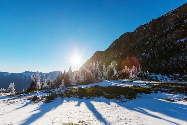 Pics Rocheux Pittoresques Parc National Des Glaciers Montana États Unis — Photo