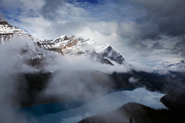Jezioro Peyto Parku Narodowym Banff Kanada — Zdjęcie stockowe