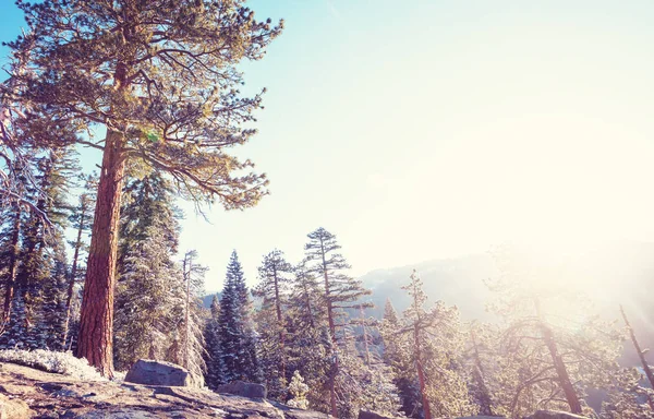 Hermosos Paisajes Del Parque Nacional Yosemite California — Foto de Stock