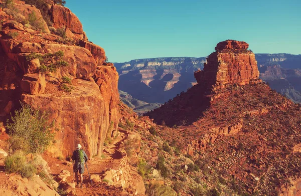 Grand Canyon Ulusal Parkı Nda Yürüyüş — Stok fotoğraf