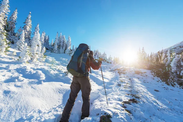 Hiker Winter Carpathian Mountains — Stock Photo, Image