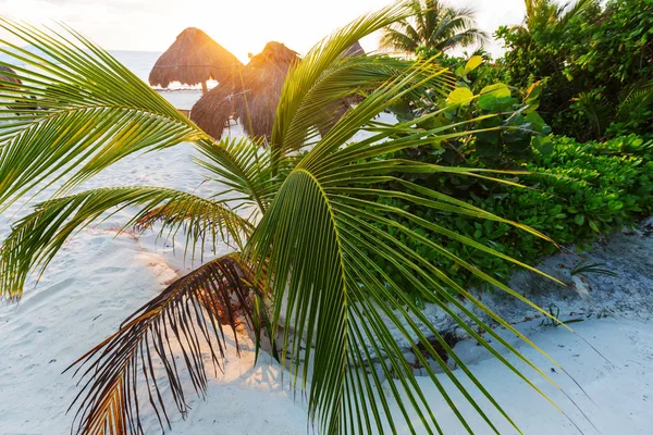 Serenidad Playa Tropical —  Fotos de Stock