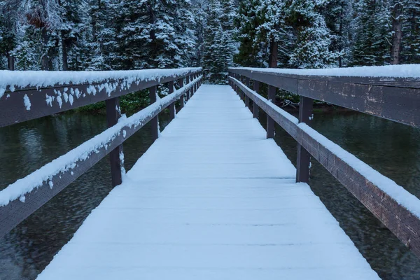 Früher Winter Mit Ersten Schneebedeckten Felsen Und Wäldern Gletschernationalpark Montana — Stockfoto