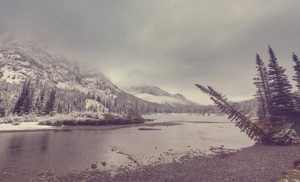 Wczesną Zimą Pierwszy Śnieg Pokrywające Skały Las Glacier National Park — Zdjęcie stockowe