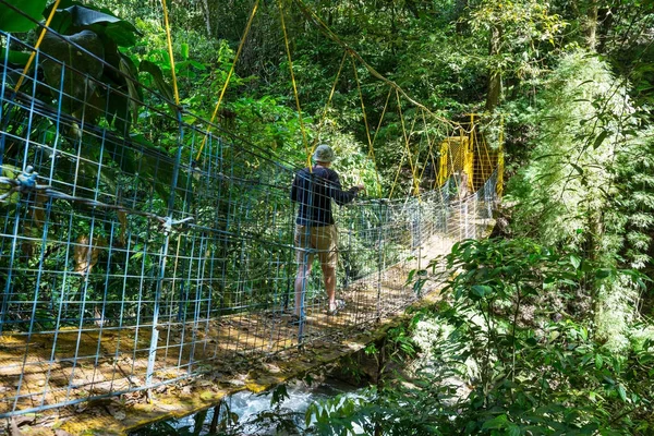 Hiking in green tropical jungle, Costa Rica, Central America