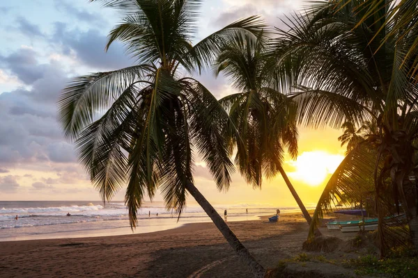 Hermosa Costa Tropical Del Océano Pacífico Costa Rica —  Fotos de Stock