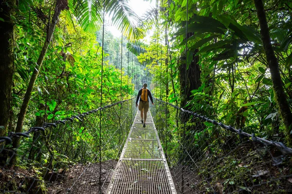 Túrázás Zöld Trópusi Dzsungelben Costa Rica Közép Amerika — Stock Fotó