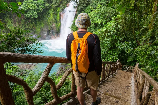 Wandern Grünen Tropischen Dschungel Costa Rica Mittelamerika — Stockfoto