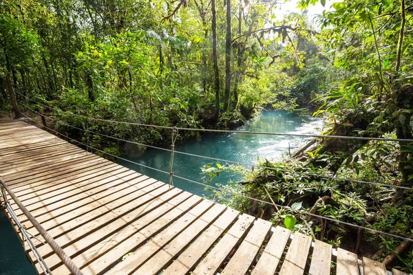 Passaggio Ponte Nella Giungla Verde Costa Rica America Centrale — Foto Stock