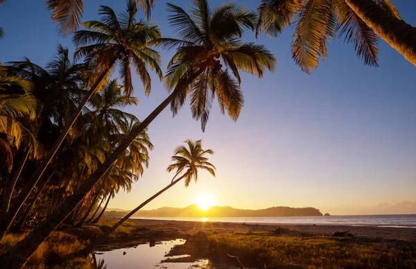 Hermosa Costa Tropical Del Océano Pacífico Costa Rica — Foto de Stock