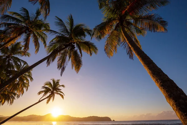 Hermosa Costa Tropical Del Océano Pacífico Costa Rica — Foto de Stock