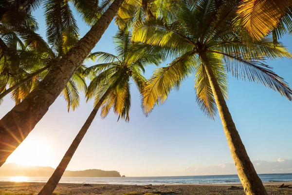 Hermosa Costa Tropical Del Océano Pacífico Costa Rica — Foto de Stock