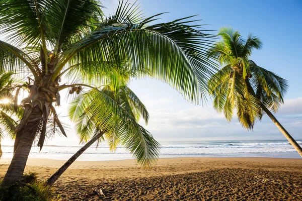 Чудове Узбережжя Тихого Океану Коста Риці — стокове фото