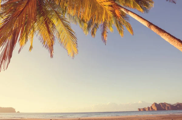 Beautiful Tropical Pacific Ocean Coast Costa Rica — Stock Photo, Image