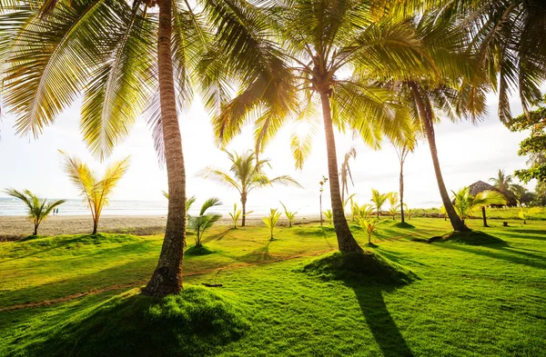 Beautiful Tropical Pacific Ocean Coast Costa Rica — Stock Photo, Image